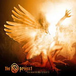 Review: The D Project - Shimmering Lights