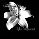 White Lilium: Up To Velvety Clouds