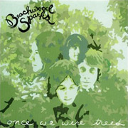 Review: Beachwood Sparks - Once We Were Trees