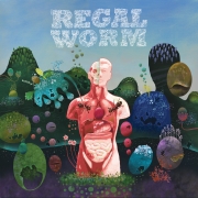 Regal Worm: Use And Ornament
