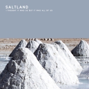 Review: Saltland - I Thought It Was Us But It Was All Of Us