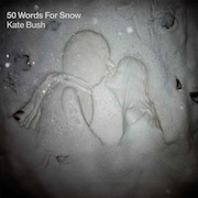 Kate Bush: 50 Words For Snow