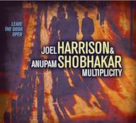 Joel Harrison & Anupam Shobhakar Multiplicity: Leave The Door Open