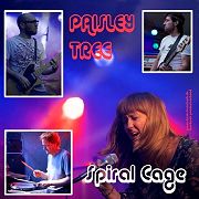 Paisley Tree/Space Debris: Split Single: Spiral Cage/New Rag