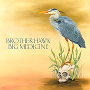 Brother Hawk: Big Medicine