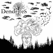 Dendrites: Dendrites