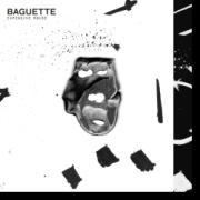 Baguette: Expensive Mouse