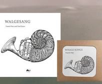 Daniel Pain und Paul Katoe: Whale Songs / Walgesang – CD und illustriertes Buch