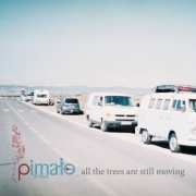 PIMALO: All The Trees Are Still Moving