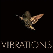 Violet Quartet: Vibrations