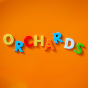 Orchards: Young / Mature Me – Single im orangen Vinyl
