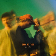 Review: Seed To Tree - Proportions