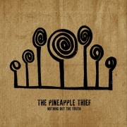 DVD/Blu-ray-Review: The Pineapple Thief - Nothing But The Truth