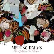 Melting Palms: Noise Between The Shades