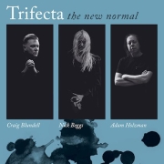 DVD/Blu-ray-Review: Trifecta - The New Normal
