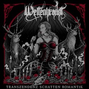 Review: Weltenbrandt - Transzendenz Schatten Romantik