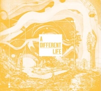 Catt: A Different Life