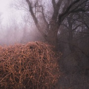 The Devil's Trade: Nincs Szennyezetlen Szép